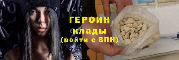 гидра Елизово