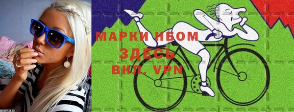 сатива Костерёво
