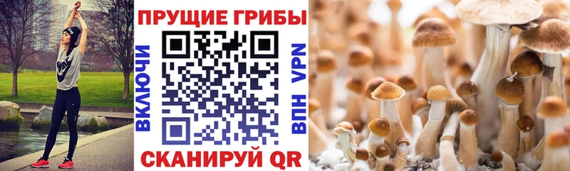 Псилоцибиновые грибы ЛСД  где купить наркотик  Люберцы 