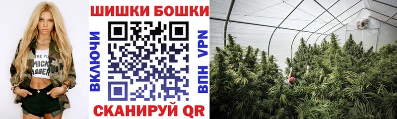 Конопля Amnesia Люберцы